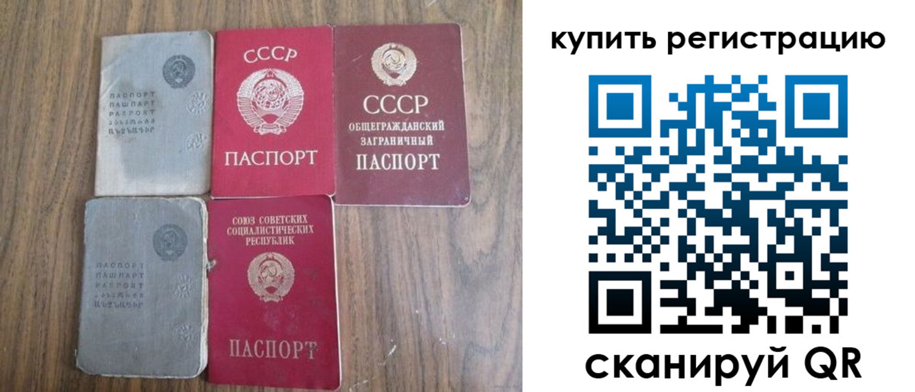 прописка для школы в Мурманской области
